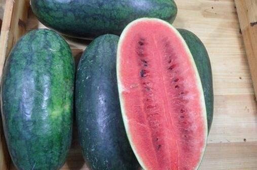 秋刀姨吃瓜黑料