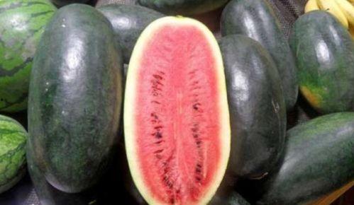 秋刀姨吃瓜黑料