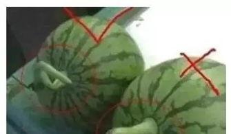 国产网红黑料吃瓜QQ群,QQ群吃瓜背后的真相